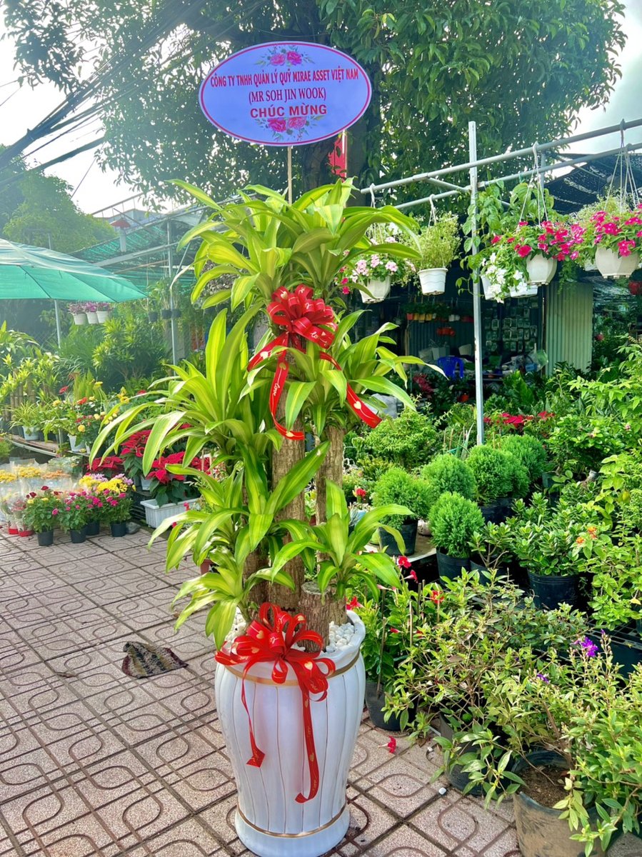 Thiết Mộc Lan Lớn 2