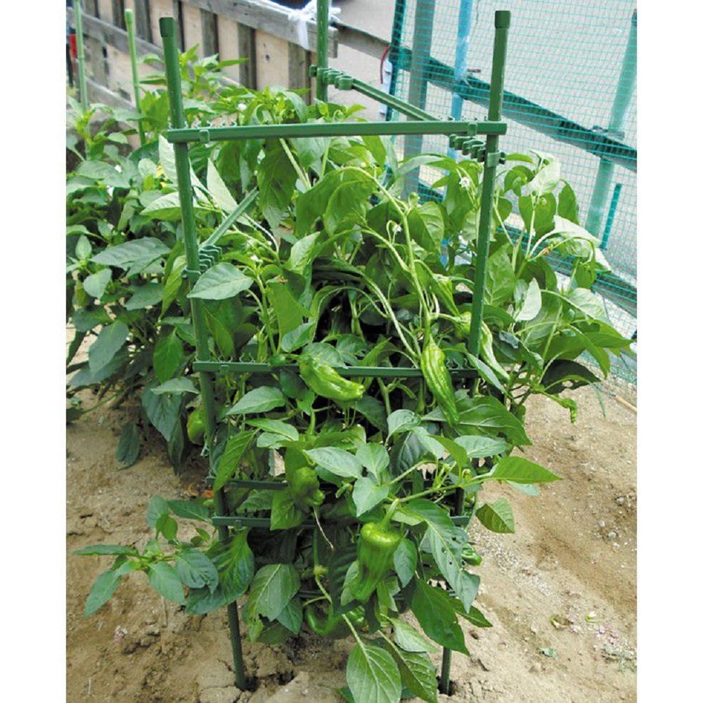 Khung đỡ cây thân mềm DAIM 3