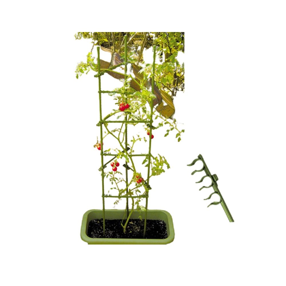 Khung đỡ cây thân mềm DAIM 2