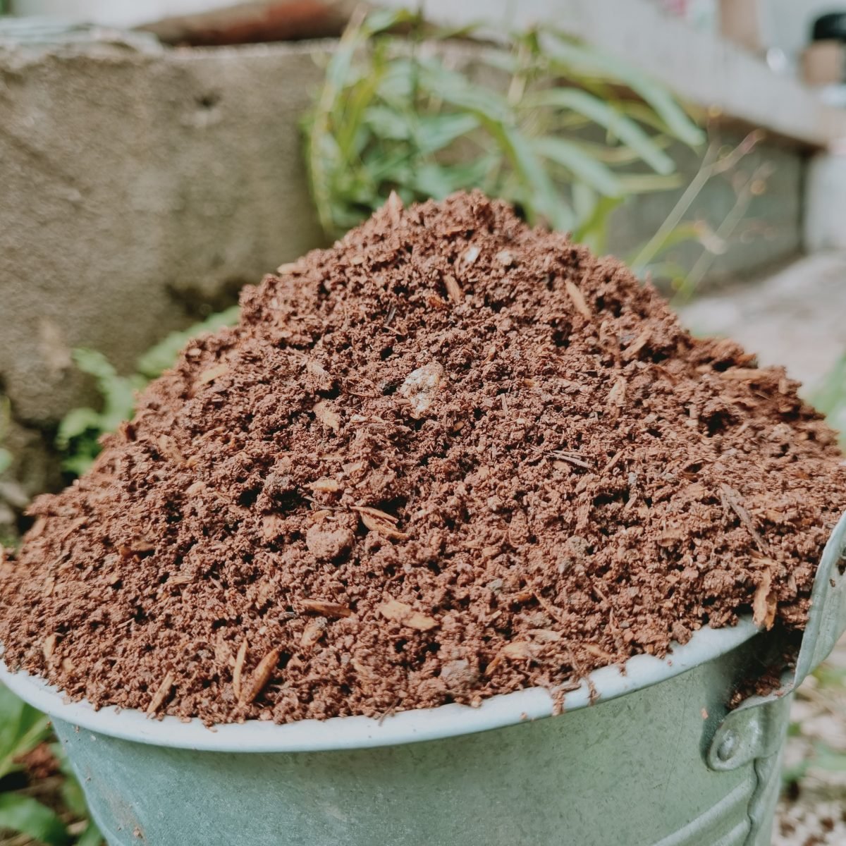 Đất đỏ Bazan Tropical 2