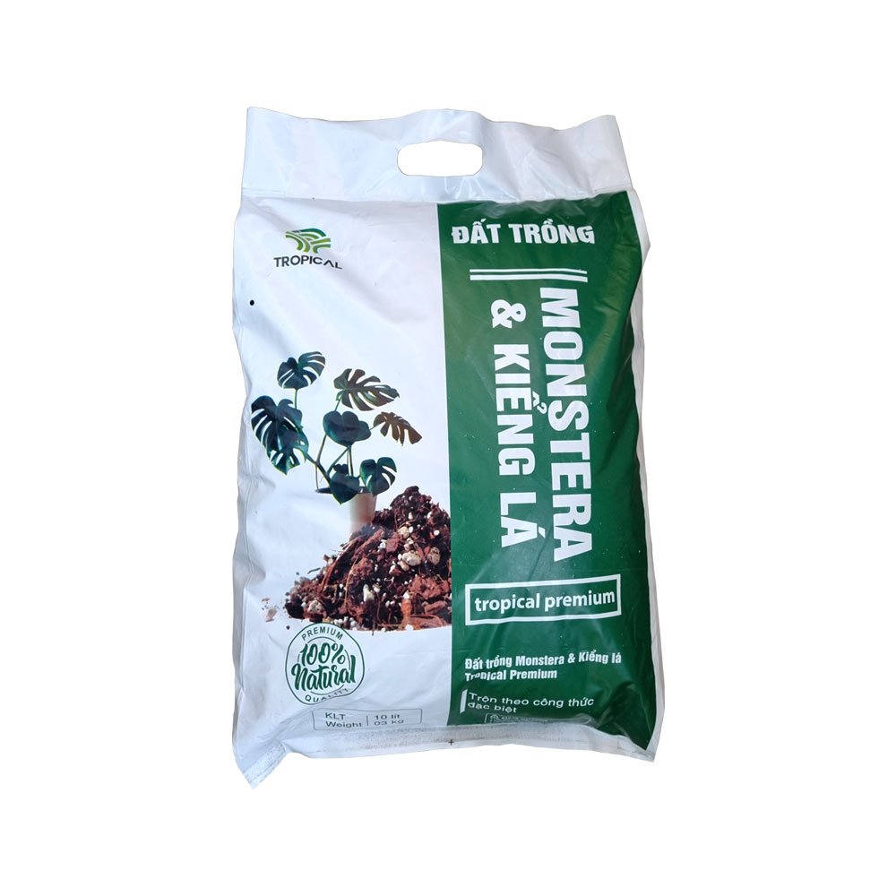 Đất trồng monstera kiểng lá và cây nội thất