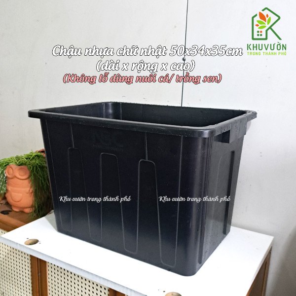 Chậu nhựa chữ nhật 50x34x35cm (không lỗ)