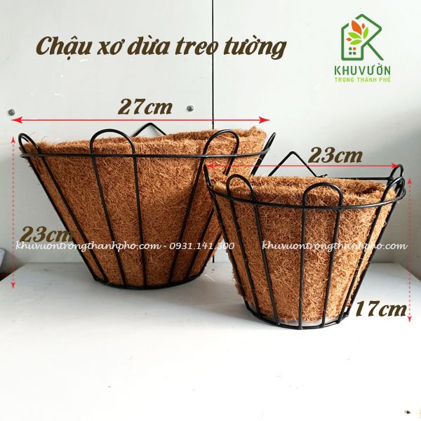 Chậu xơ dừa treo tường
