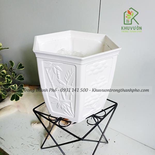 Chậu Nhựa Lục Giác Tùng Trúc 2