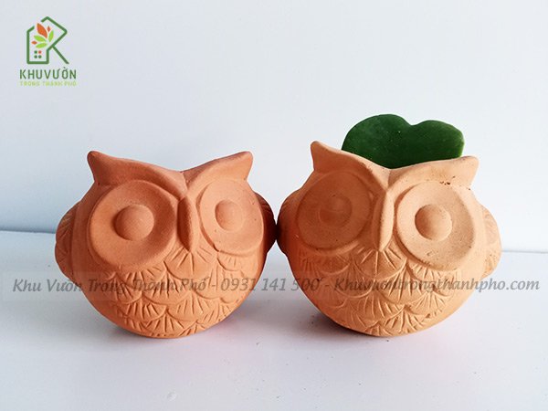 Chậu Đất Nung Con Cú 3