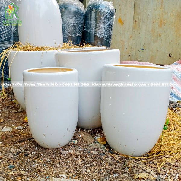 Chậu Sứ Bom Trơn Màu Trắng 3