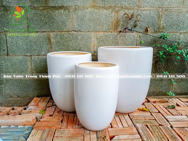 Chậu Sứ Bom Trơn Màu Trắng