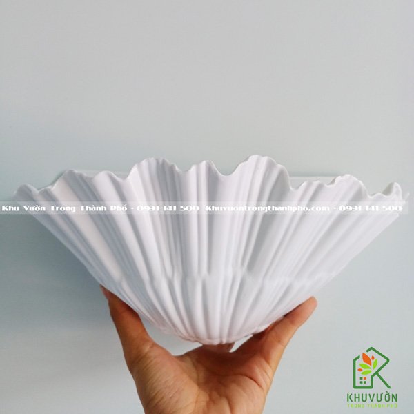 Chậu Nhựa Sò Ốp Tường