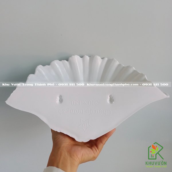 Chậu Nhựa Sò Ốp Tường 3