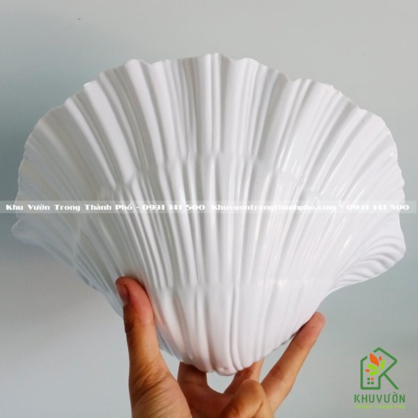 Chậu Nhựa Sò Ốp Tường 2