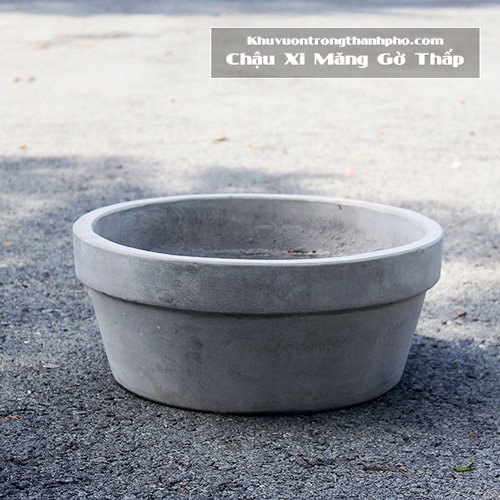 Chậu Xi Măng Gờ Thấp