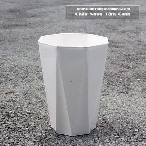 Chậu Nhựa Tám Cạnh