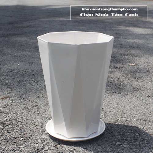 Chậu Nhựa Tám Cạnh 2