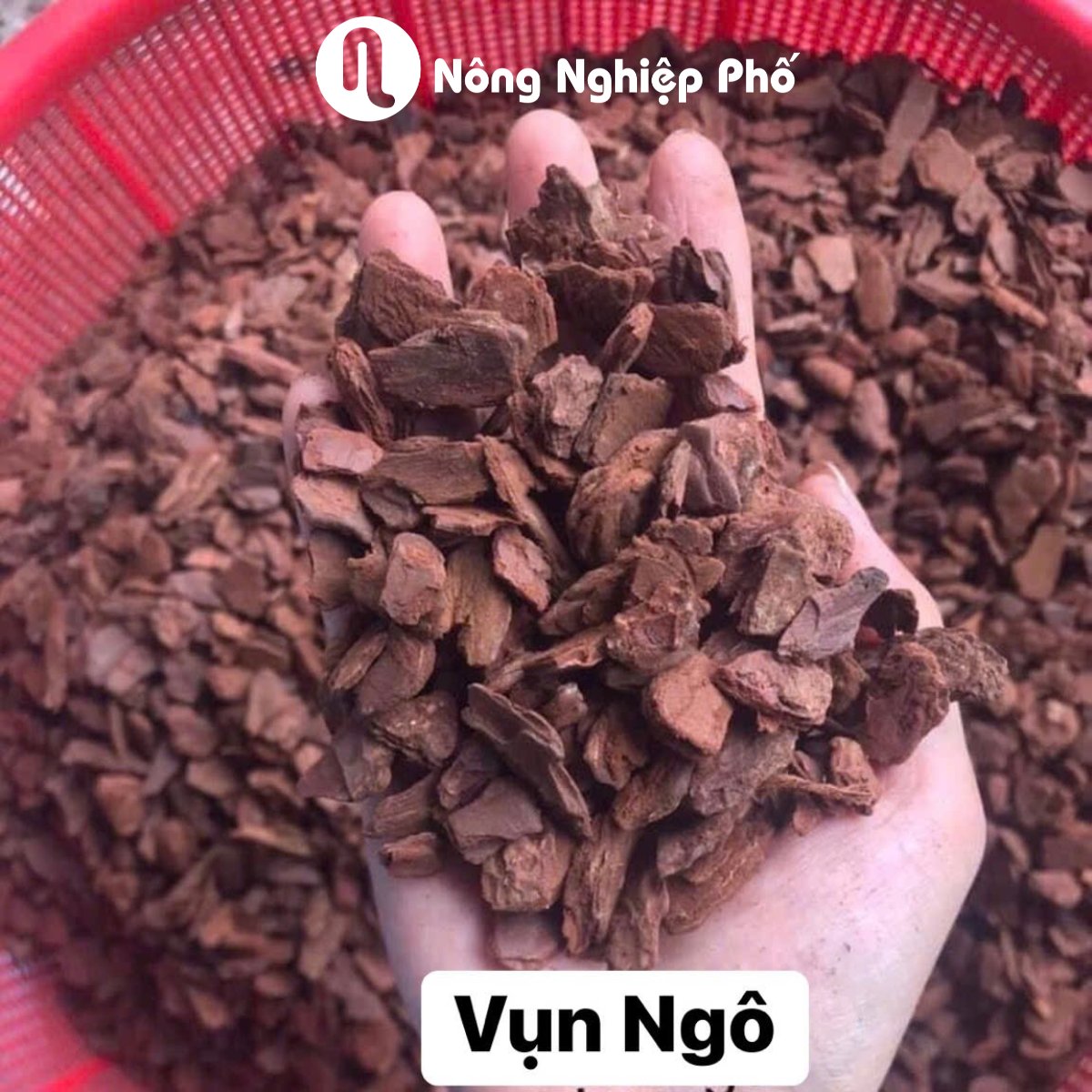 Vỏ thông vụn ngô – Túi 1kg