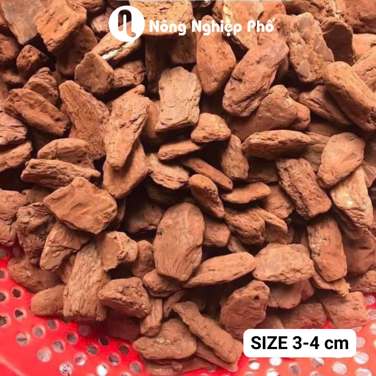Vỏ thông size 3-4 – Túi 1kg