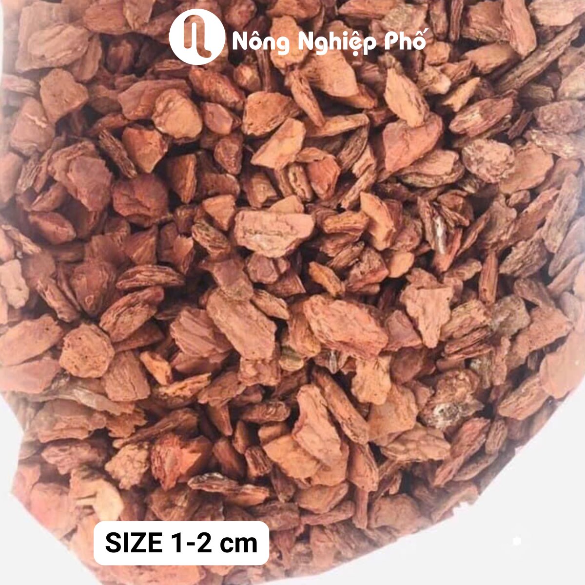 Vỏ thông size 1-2 – Túi 1kg
