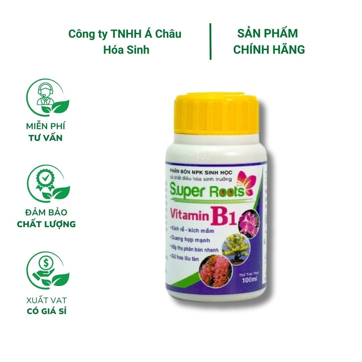 Chế phẩm Vitamin B1 Super roots – kích rễ bật mầm – chai 100ml