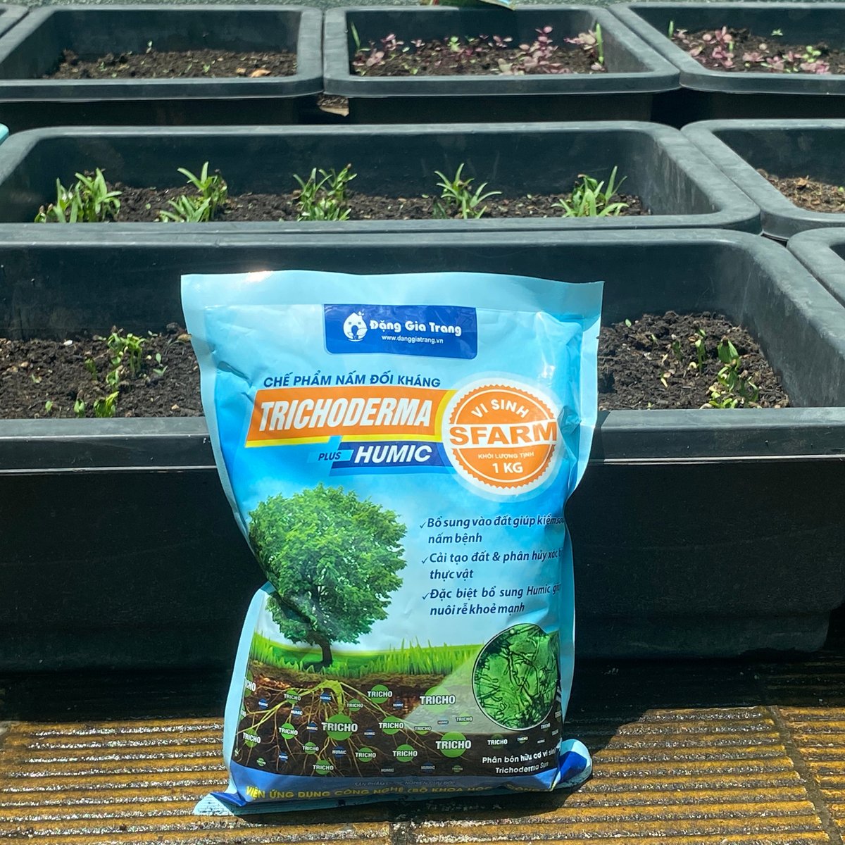 Chế phẩm Trichoderma Humic Plus SFARM (1kg) – Nấm đối kháng, cải tạo đất hiệu quả 2
