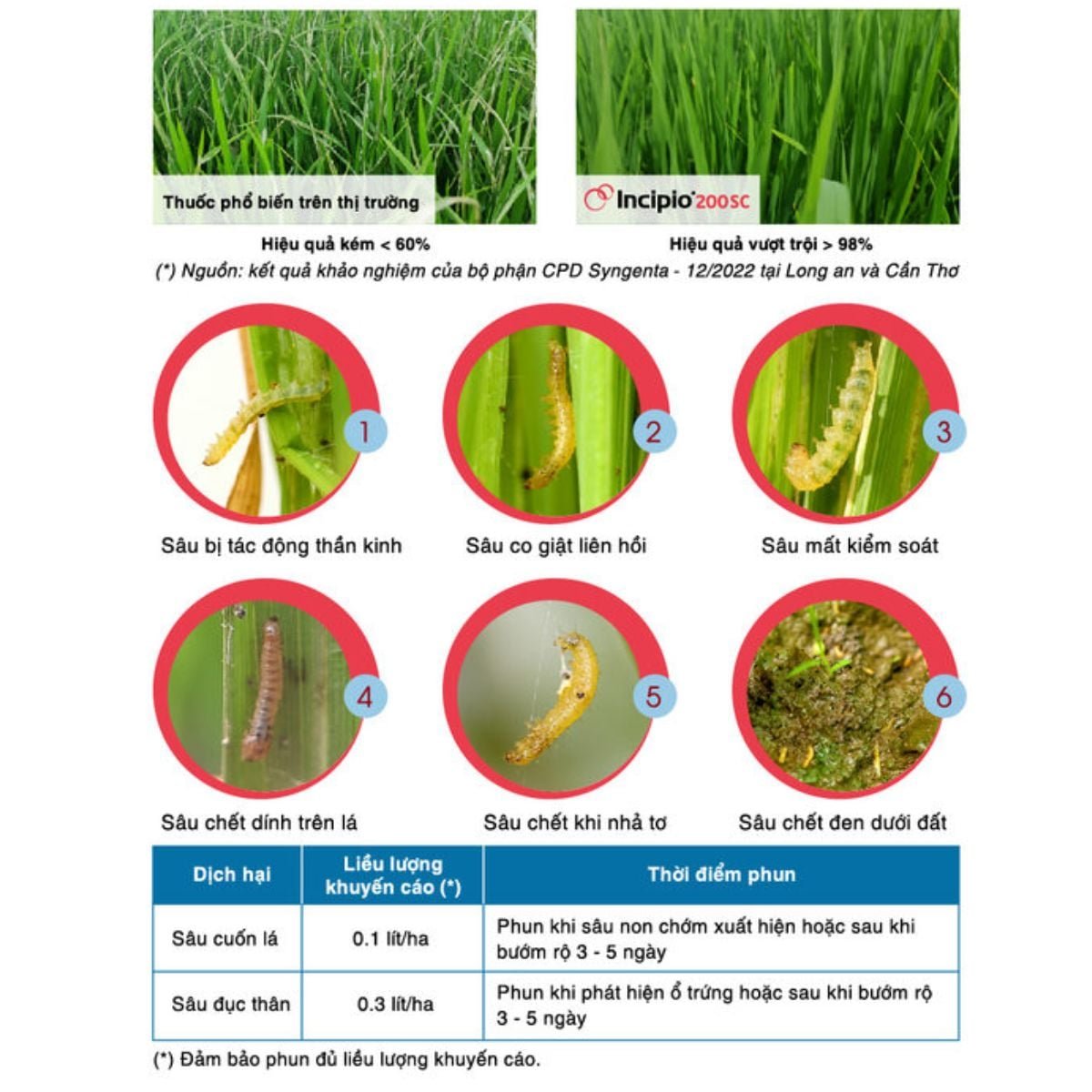 Thuốc trừ sâu INCIPIO 200SC 3