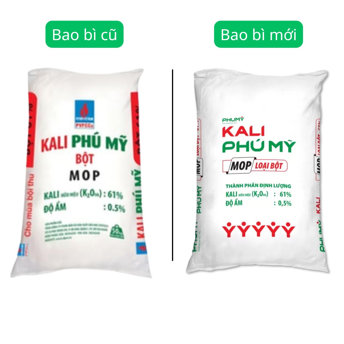 Phân bón Kali bột MOP Phú Mỹ (Bao 50kg) – Giúp cây cứng, chịu rét, giảm lốp đổ, sâu bệnh, năng suất cao 2