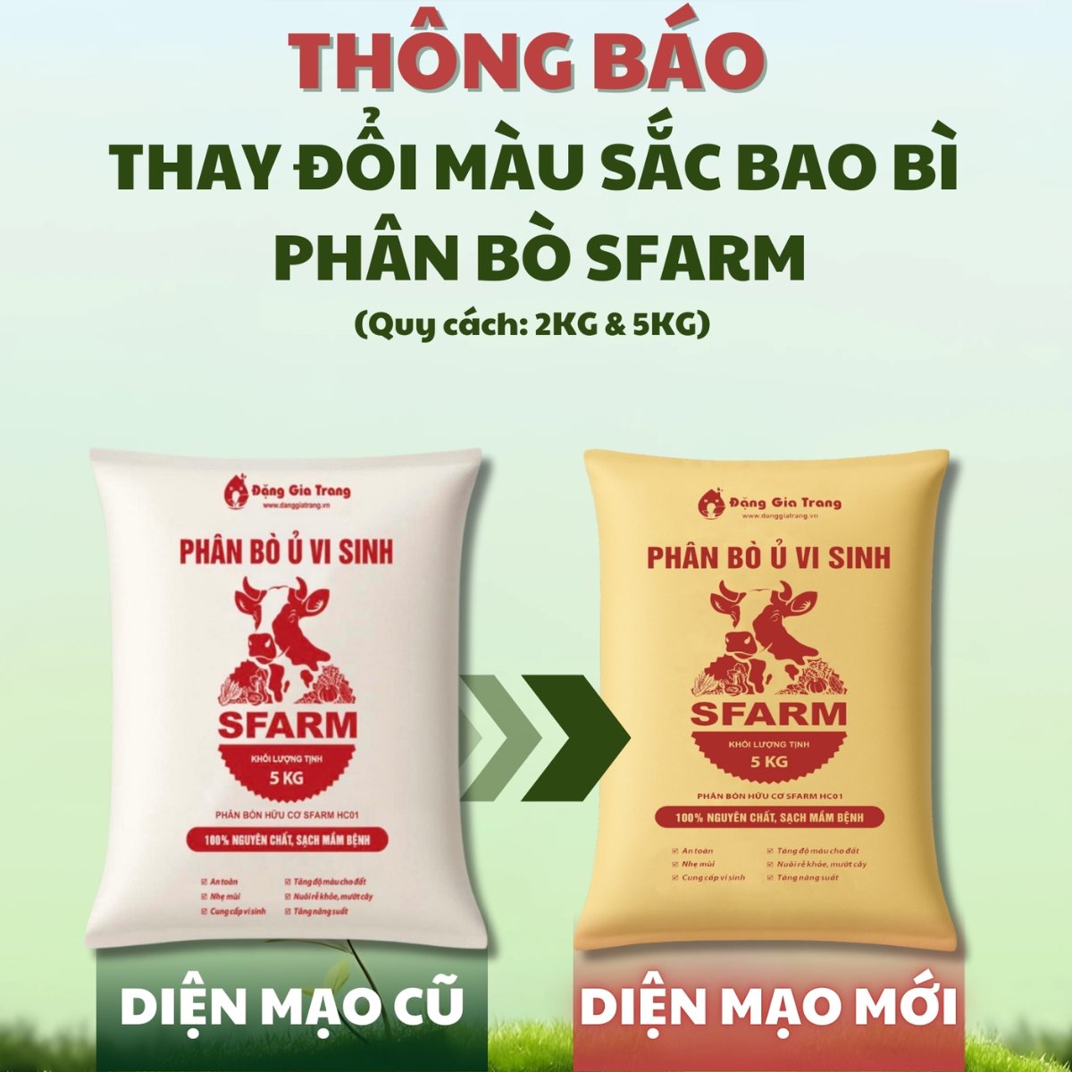 Phân bò ủ vi sinh SFARM – Phân hữu cơ cải tạo đất, tơi đất, giàu mùn 2