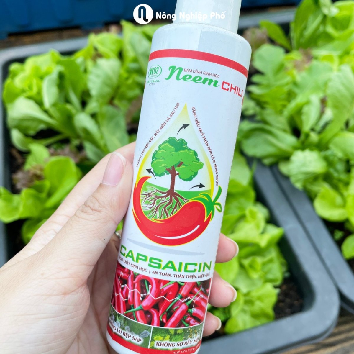 Neem Chili – Chất bám dính sinh học trừ sâu rầy bọ trĩ 3