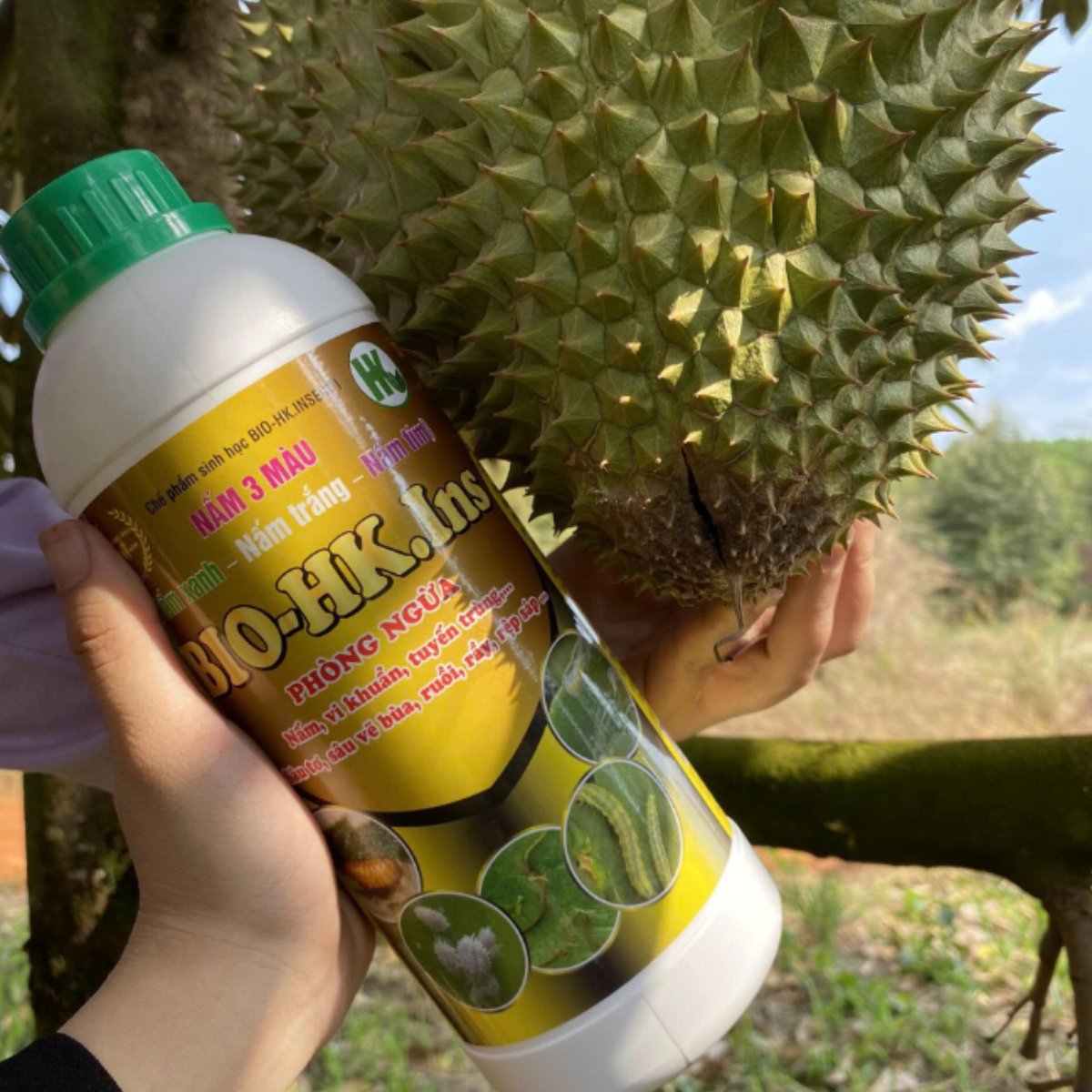 Nấm 3 màu BIO-HK. INS (Chai 1 Lít) – Phòng ngừa nấm, vi khuẩn, tuyến trùng, sâu tơ, vẽ bùa, ruồi, rầy, rệp sáp 3