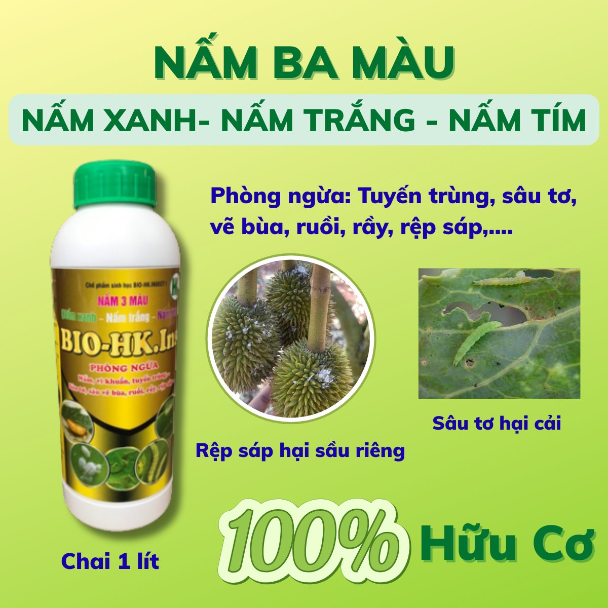 Nấm 3 màu BIO-HK. INS (Chai 1 Lít) – Phòng ngừa nấm, vi khuẩn, tuyến trùng, sâu tơ, vẽ bùa, ruồi, rầy, rệp sáp 2