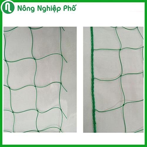 Lưới làm giàn leo nhập khẩu Đài Loan màu xanh (10x10cm) – Độ bền cao, dễ sử dụng 3
