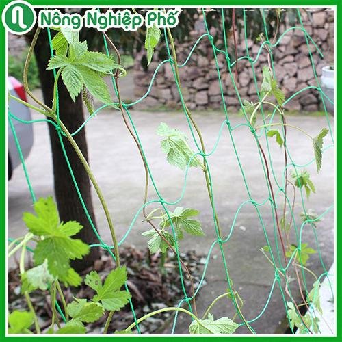 Lưới làm giàn leo nhập khẩu Đài Loan màu xanh (10x10cm) – Độ bền cao, dễ sử dụng 2