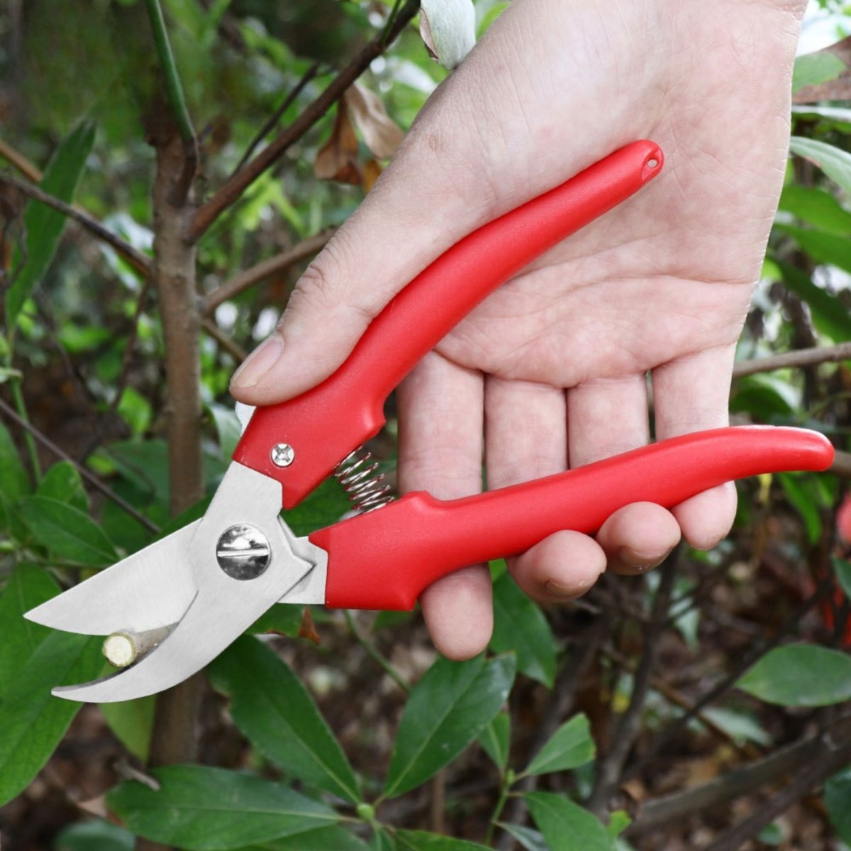 Kéo tỉa cây SK-1 3