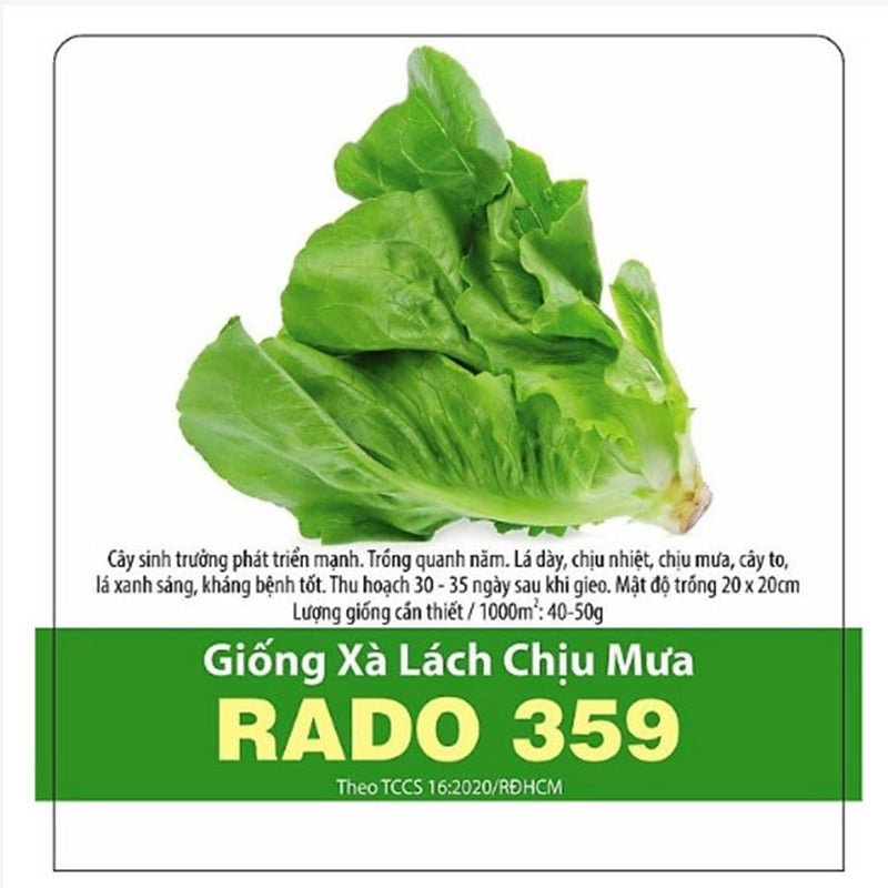 Hạt giống Xà lách chịu mưa RADO 359 – Gói 10 gram 3