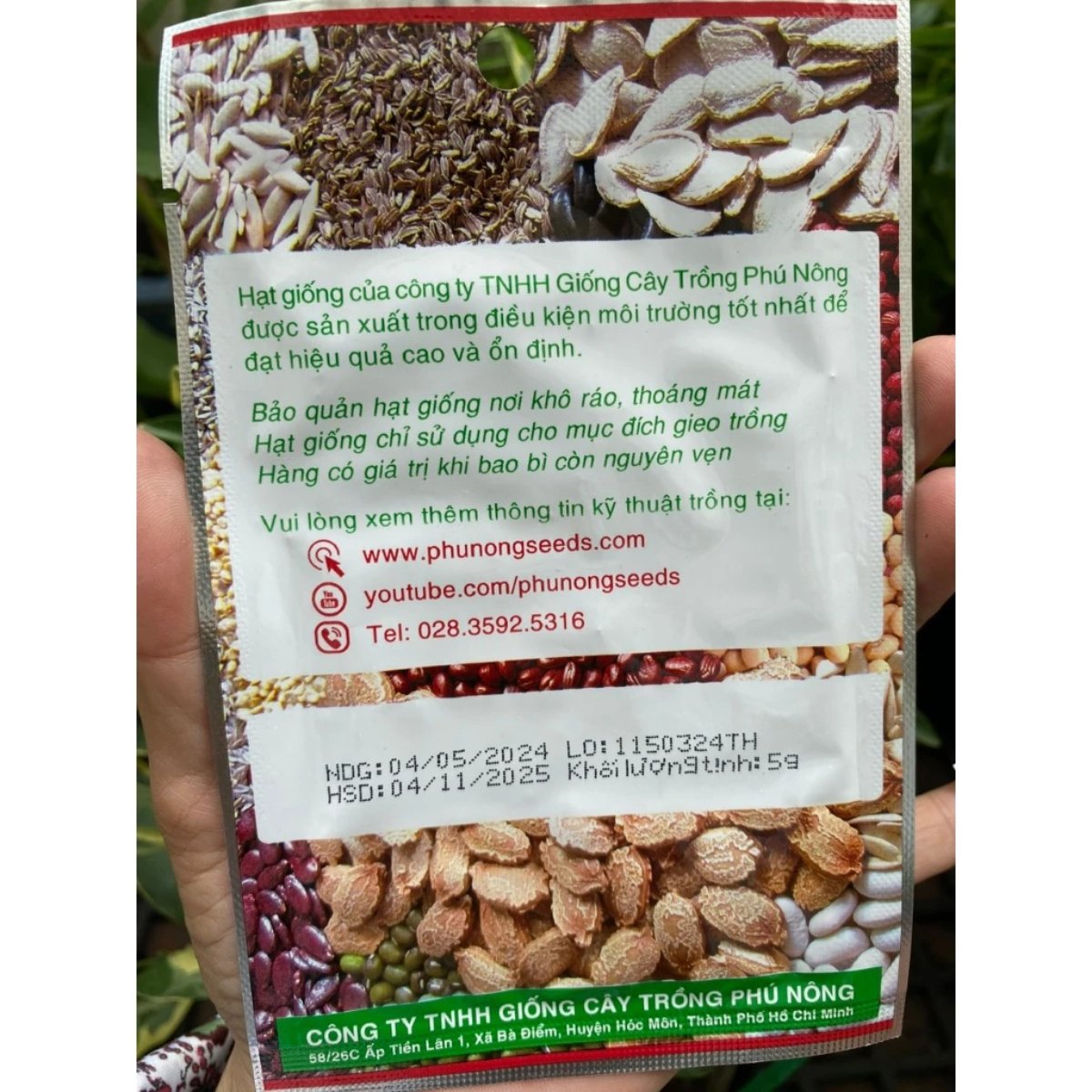 Hạt giống Rau Quế (Húng Quế) PN 0880 2