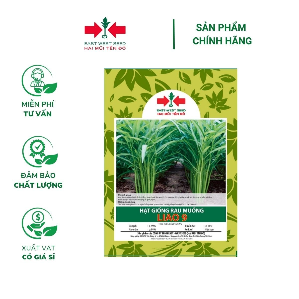 Hạt giống Rau muống Liao 9 East-West Seed (Hai Mũi Tên Đỏ) – Gói 100gr