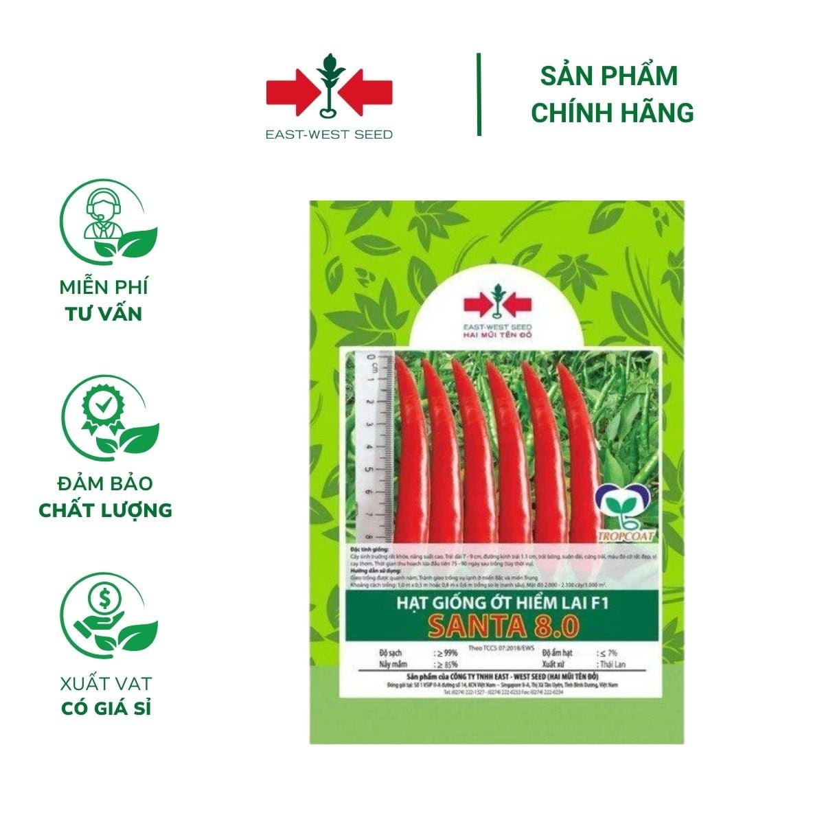 Hạt giống Ớt hiểm lai F1 Santa 8.0 East-West Seed (Hai Mũi Tên Đỏ) – Gói 10 hạt