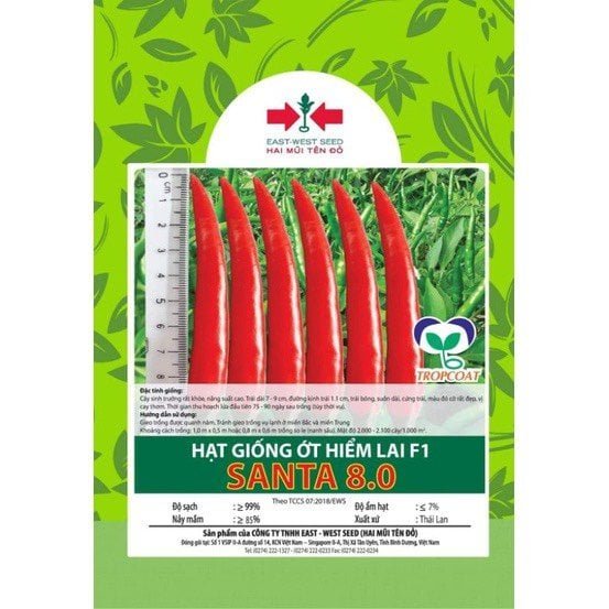 Hạt giống Ớt hiểm lai F1 Santa 8.0 East-West Seed (Hai Mũi Tên Đỏ) – Gói 10 hạt 2