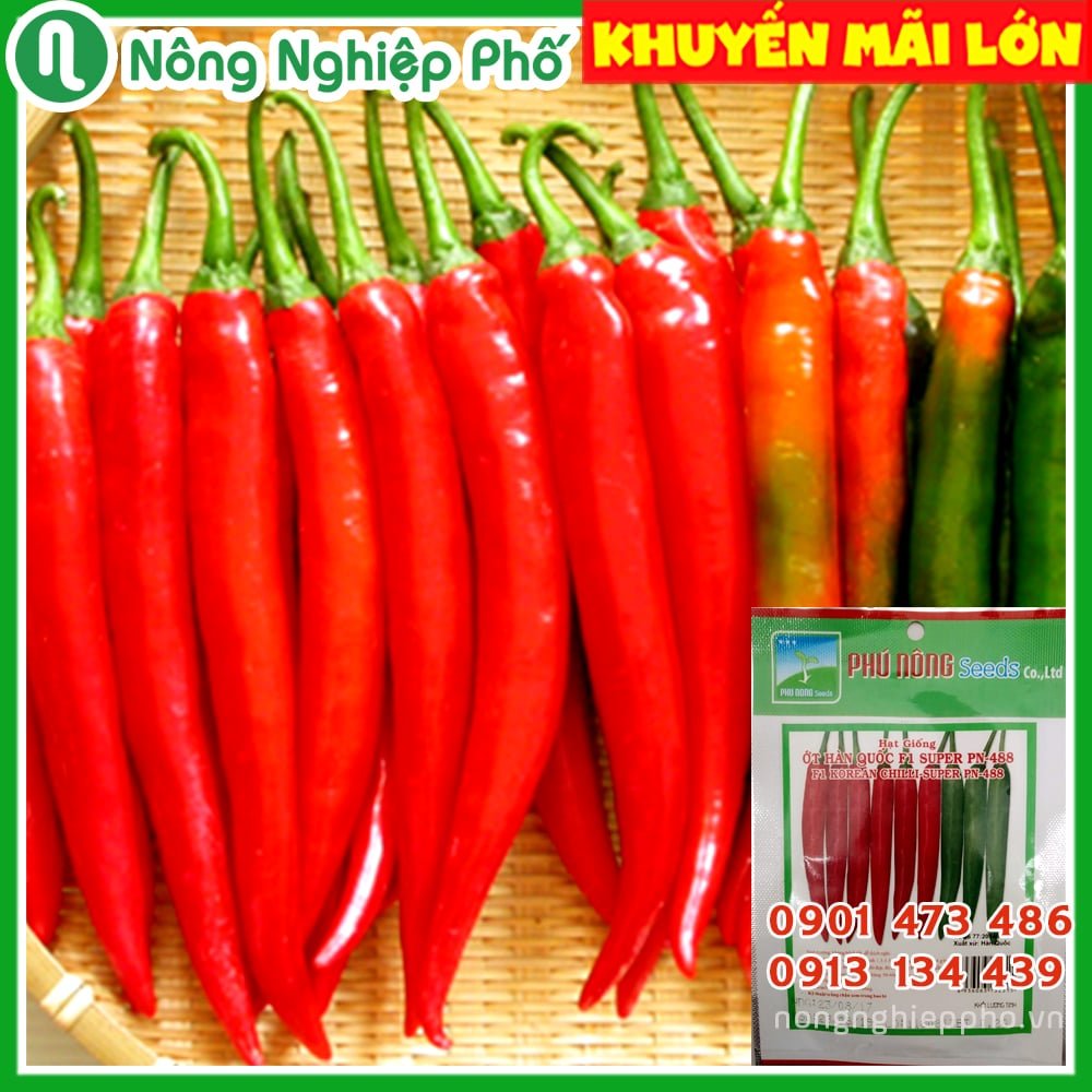 Hạt giống Ớt Hàn Quốc PN – Gói 0.1 gram 2