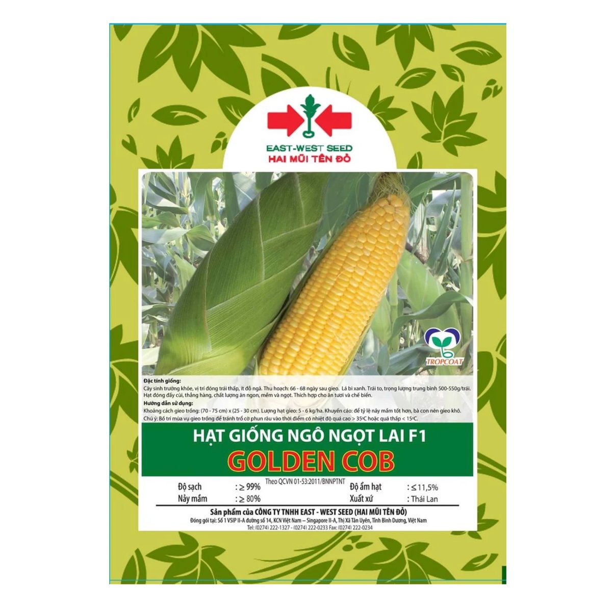 Hạt giống Ngô ngọt, Bắp Mỹ Golden Cob East-West Seed (Hai Mũi Tên Đỏ) – Gói 70 hạt 2