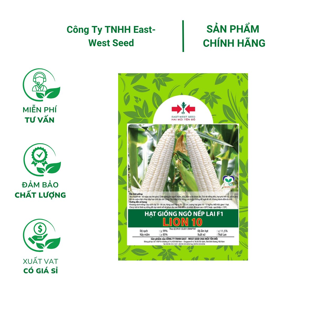 Hạt giống Ngô nếp lai F1 tím ngọt 099 East-West Seed (Hai Mũi Tên Đỏ) – Gói 40 hạt
