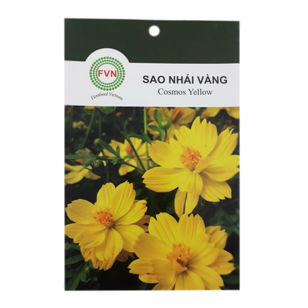 Hạt giống hoa Sao Nhái Vàng FVN – Gói 15 hạt 2