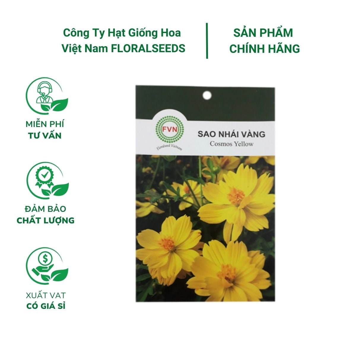 Hạt giống hoa Sao Nhái Vàng FVN – Gói 15 hạt