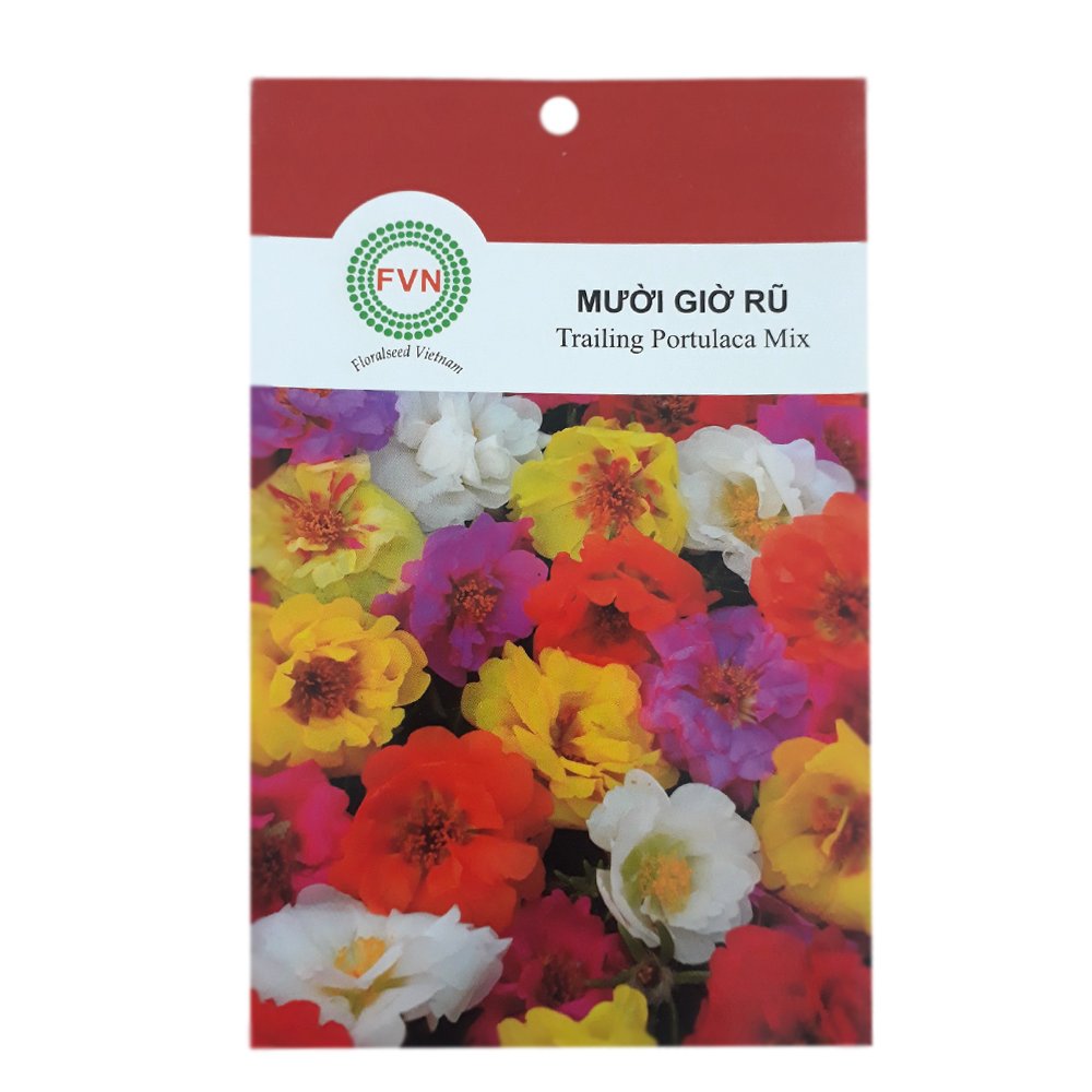Hạt giống hoa Mười Giờ Rũ FVN – Gói 10 hạt
