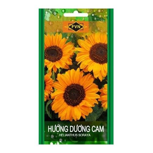 Hạt giống hoa Hướng Dương Cam FVN – Gói 12 hạt 2