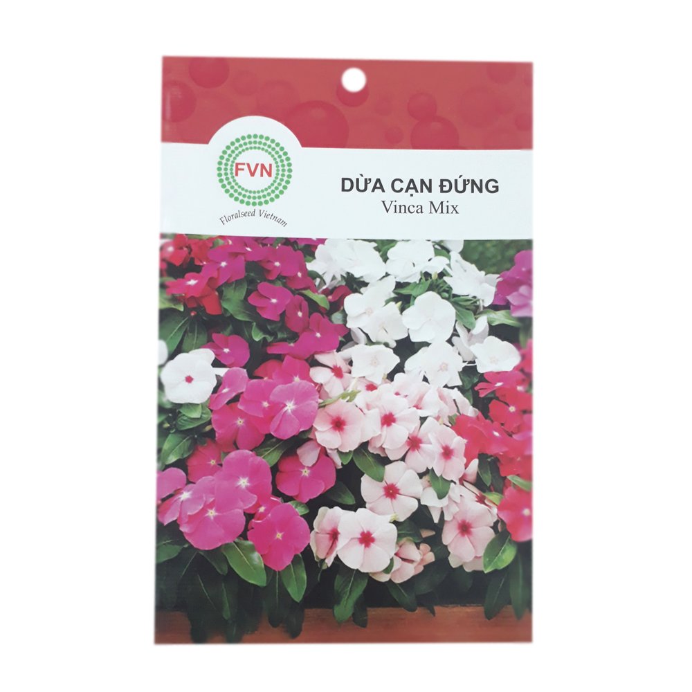 Hạt giống hoa Dừa Cạn Đứng FVN – Gói 15 hạt