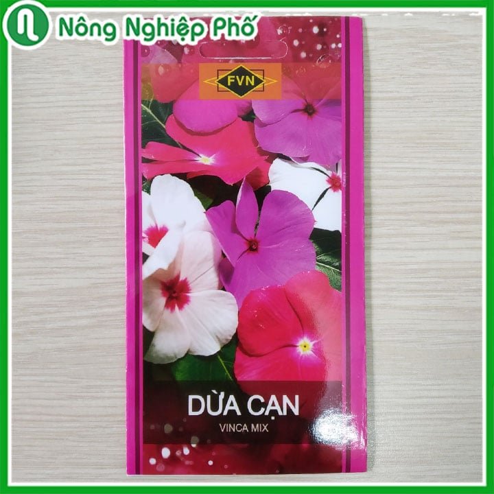 Hạt giống hoa Dừa Cạn Đứng FVN – Gói 15 hạt 2