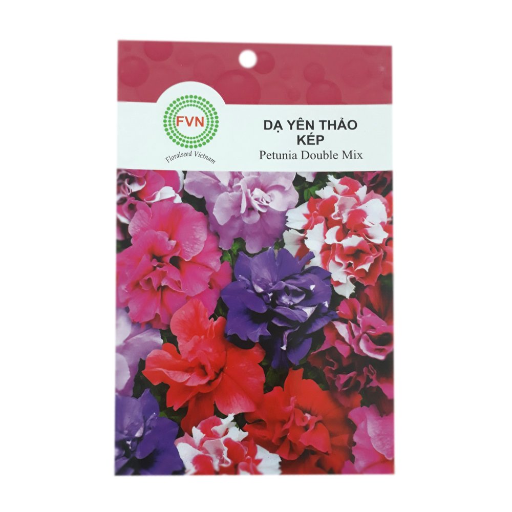Hạt giống hoa Dạ Yên Thảo kép FVN – Gói 15 hạt