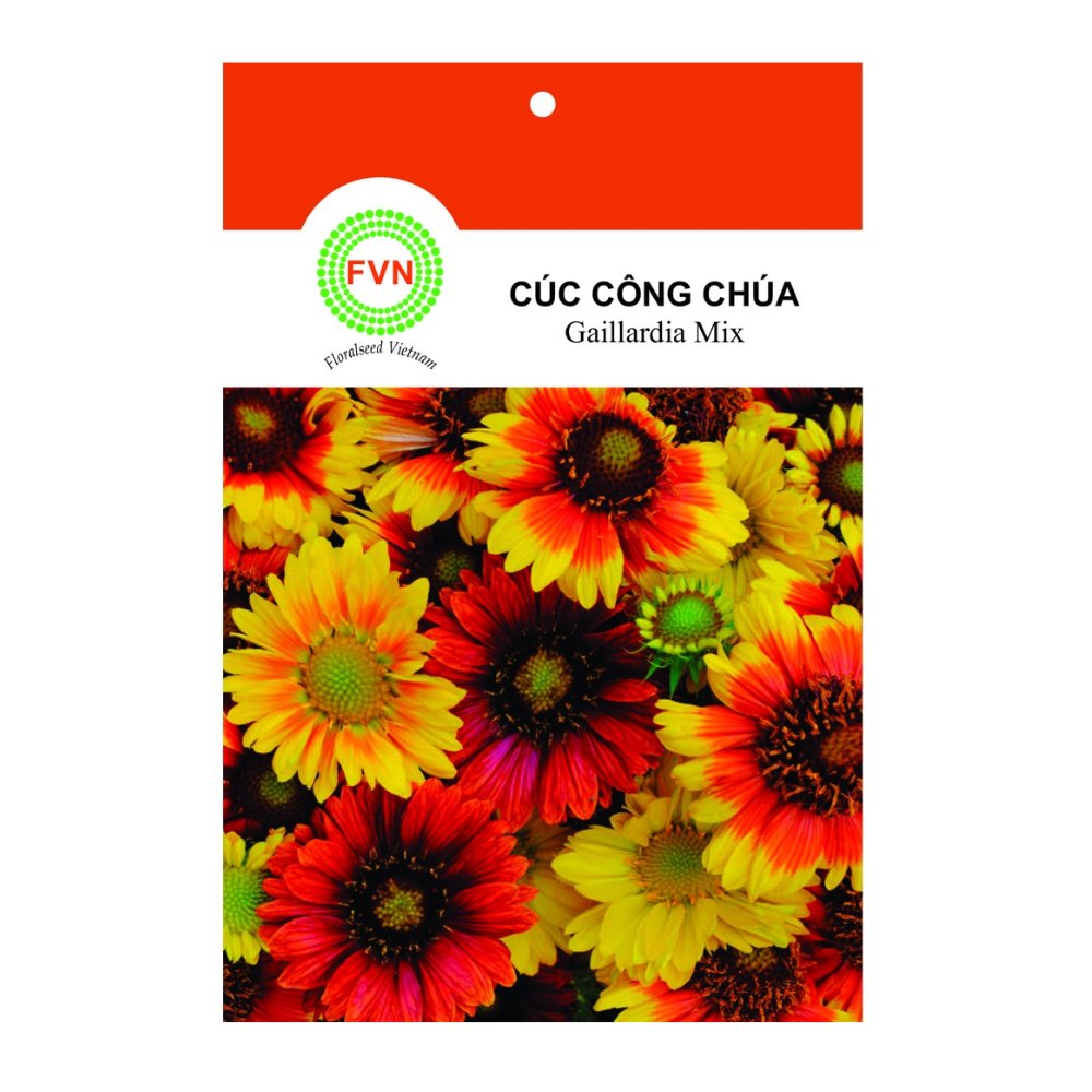 Hạt giống Hoa Cúc công chúa Gaillardia Mix FVN – Gói 5 hạt