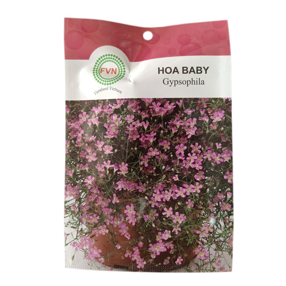 Hạt giống hoa baby FVN – Gói 5 hạt 2