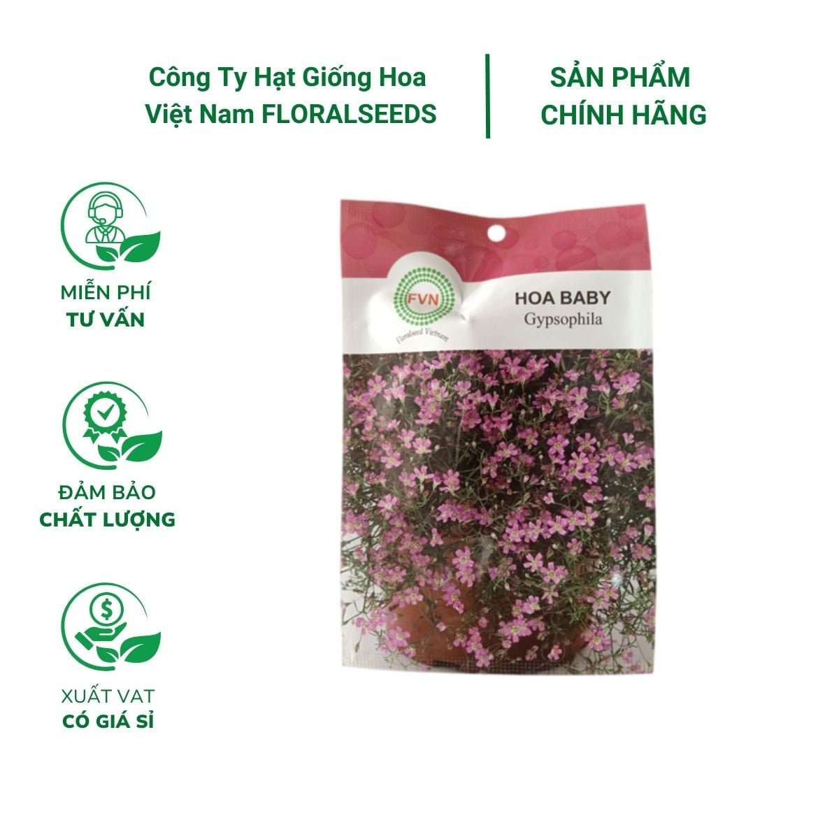 Hạt giống hoa baby FVN – Gói 5 hạt