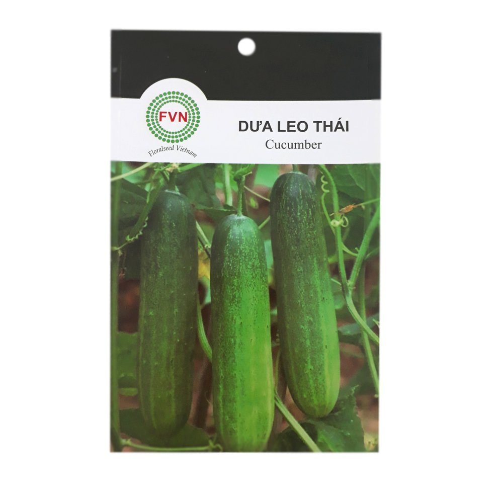 Hạt giống Dưa Leo Thái FVN – Gói 15 hạt